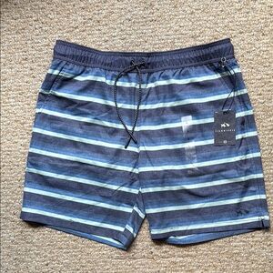 NWOT FISH HIPPIE Men's Volley Shorts - Blue and Green Size Large